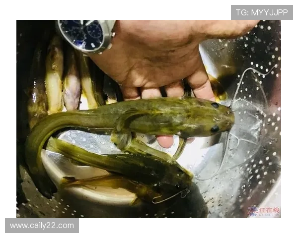 探索钱柜777:如何在娱乐中实现财富增值的秘诀 探索钱柜777:如何在娱乐中实现财富增值的秘诀